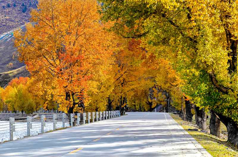 奔赴川西的童话与烟火，一份不赶路的成都+九寨沟五日漫游手记-第1张图片-四川省中国青年旅行社